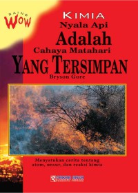 Image of Sains Wow , kimia nyala api adalah cahaya matahari yang tersimpan