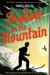 Image of Shadow  on the Mountain
