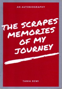 Image of The Scrapes Memories of My Journey